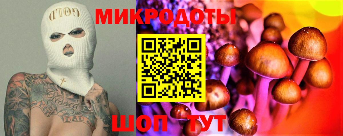 Галлюциногенные грибы мицелий  Вход с VPN  цена   Тамбов 